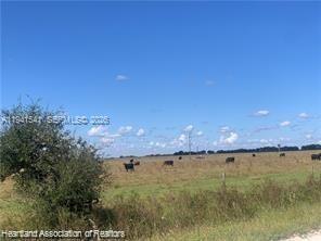 SOUTHERN COLONIZATION COMP - Land