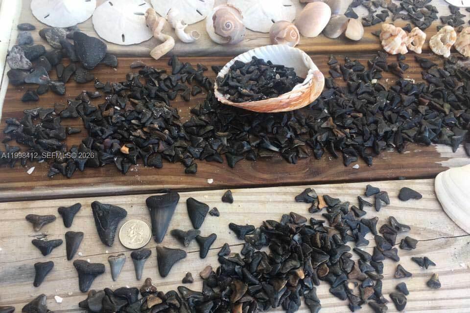 Palm Island Ests Un 4 - Land