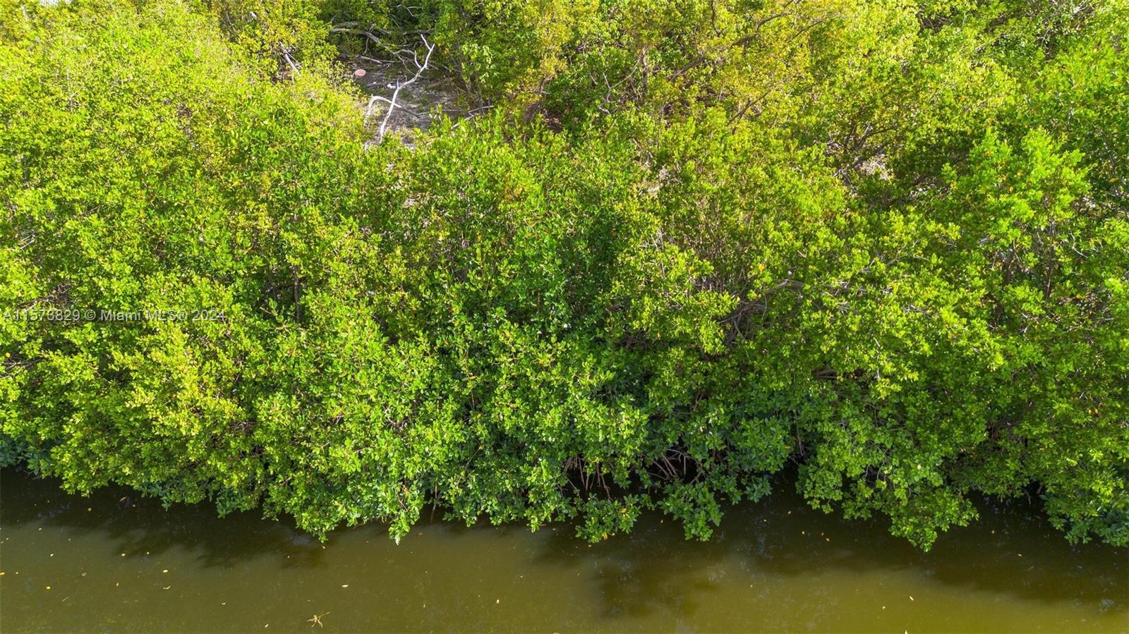 KEY LARGO BEACH - Land