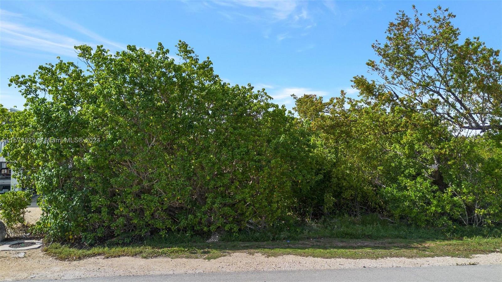 KEY LARGO BEACH - Land