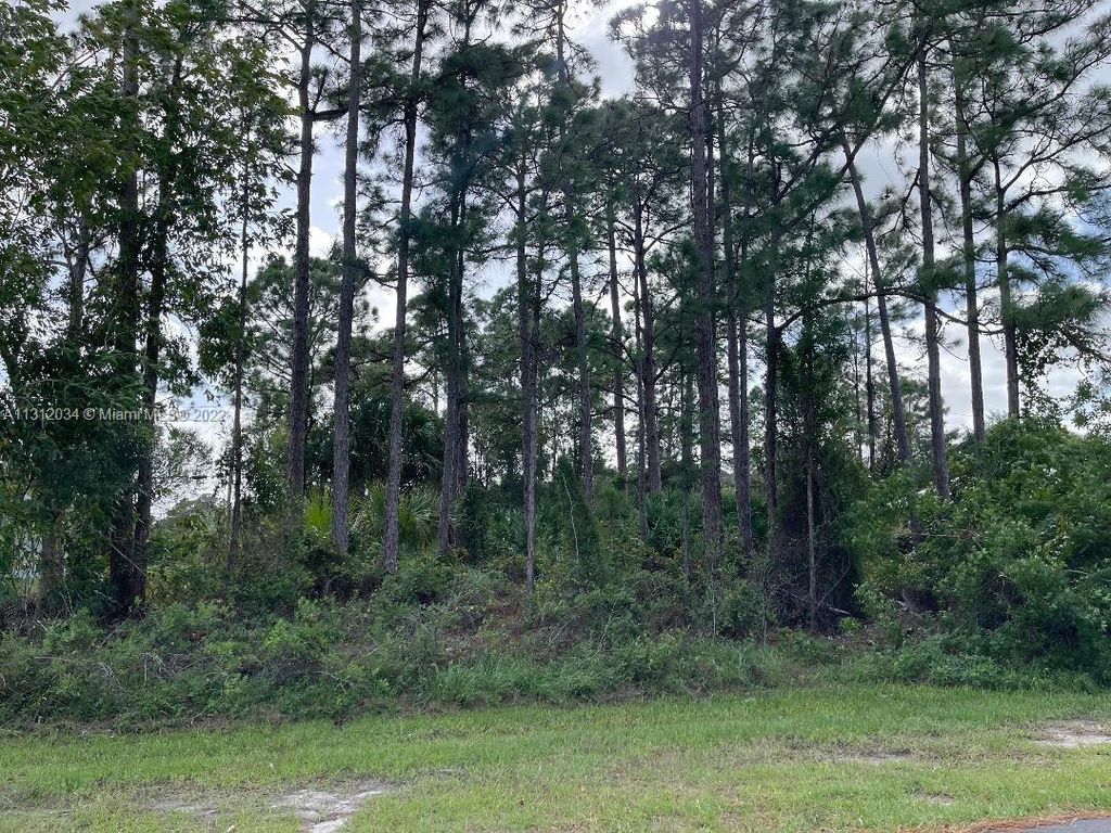 Photo of 926 Eureka Ave, Port Saint Lucie, FL 34953 (MLS # A11312034)