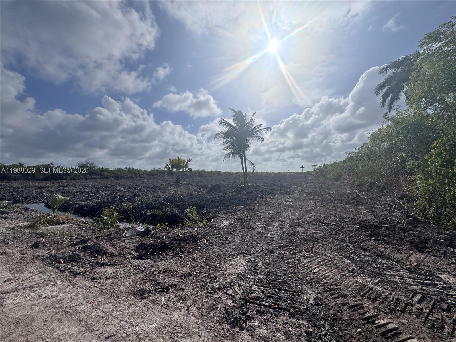 MIAMI LAND & DEV COS SUB - Land