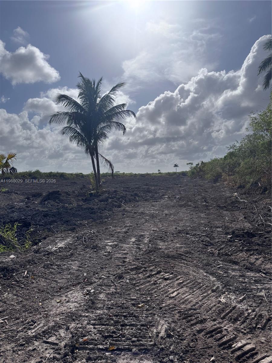 MIAMI LAND & DEV COS SUB - Land