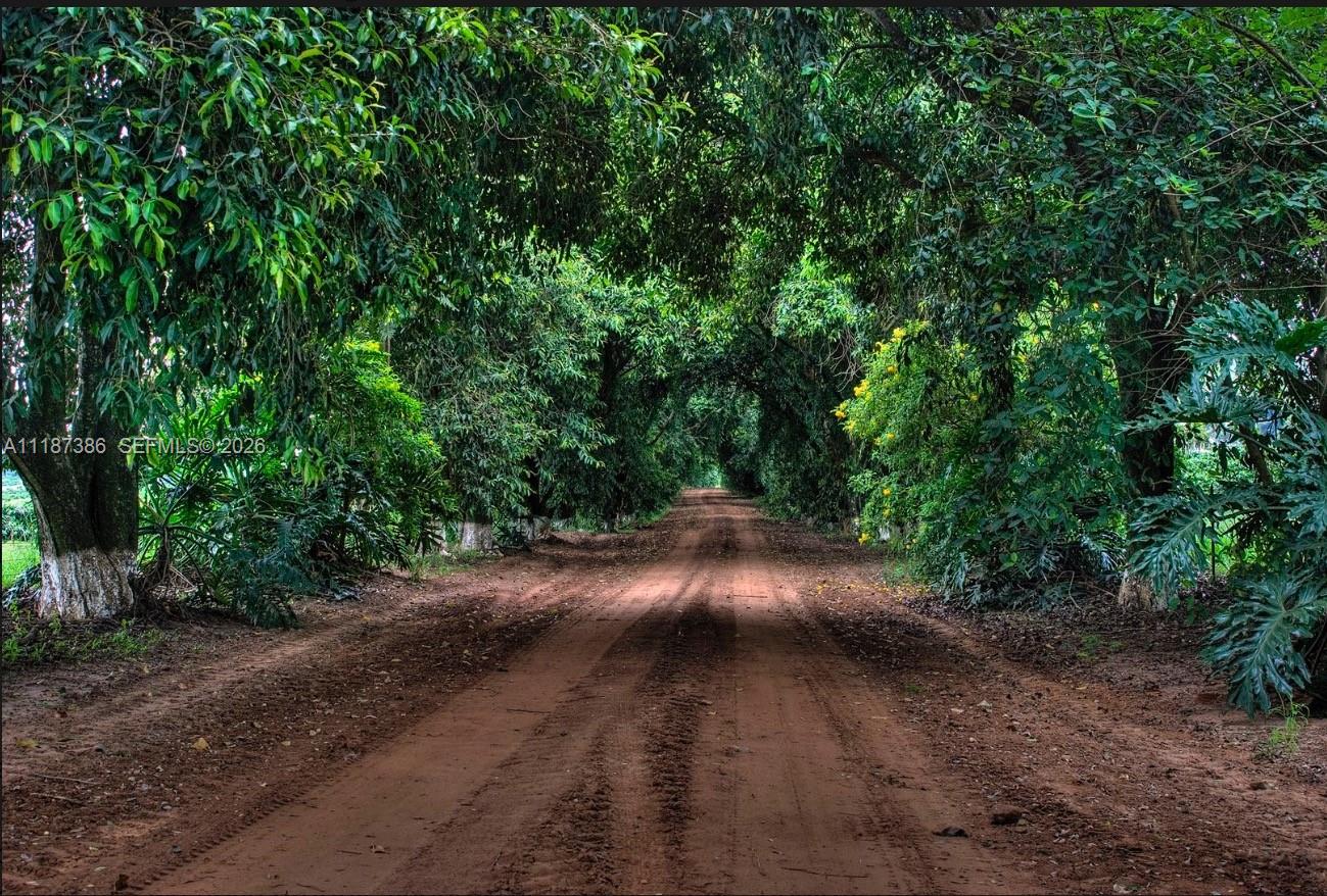 Rodovia Luis Augusto de Oliveira