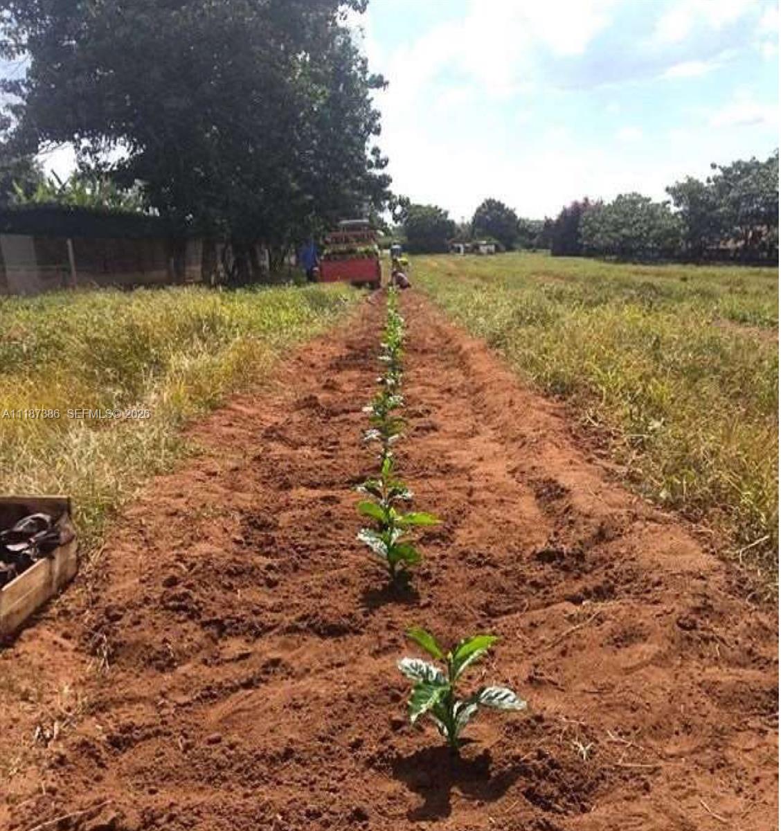 Dorado, Sao Paulo - Land