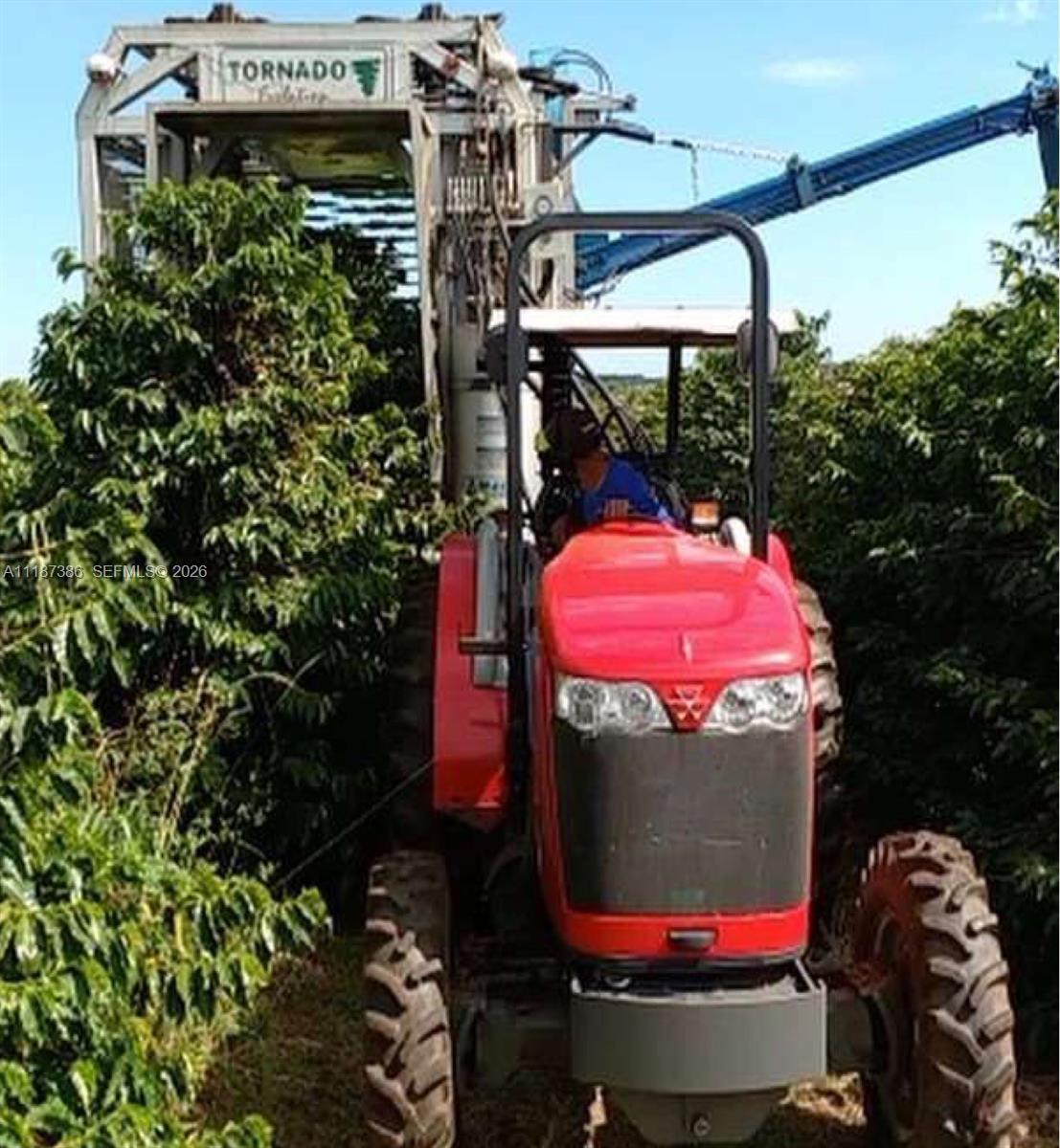 Dorado, Sao Paulo - Land