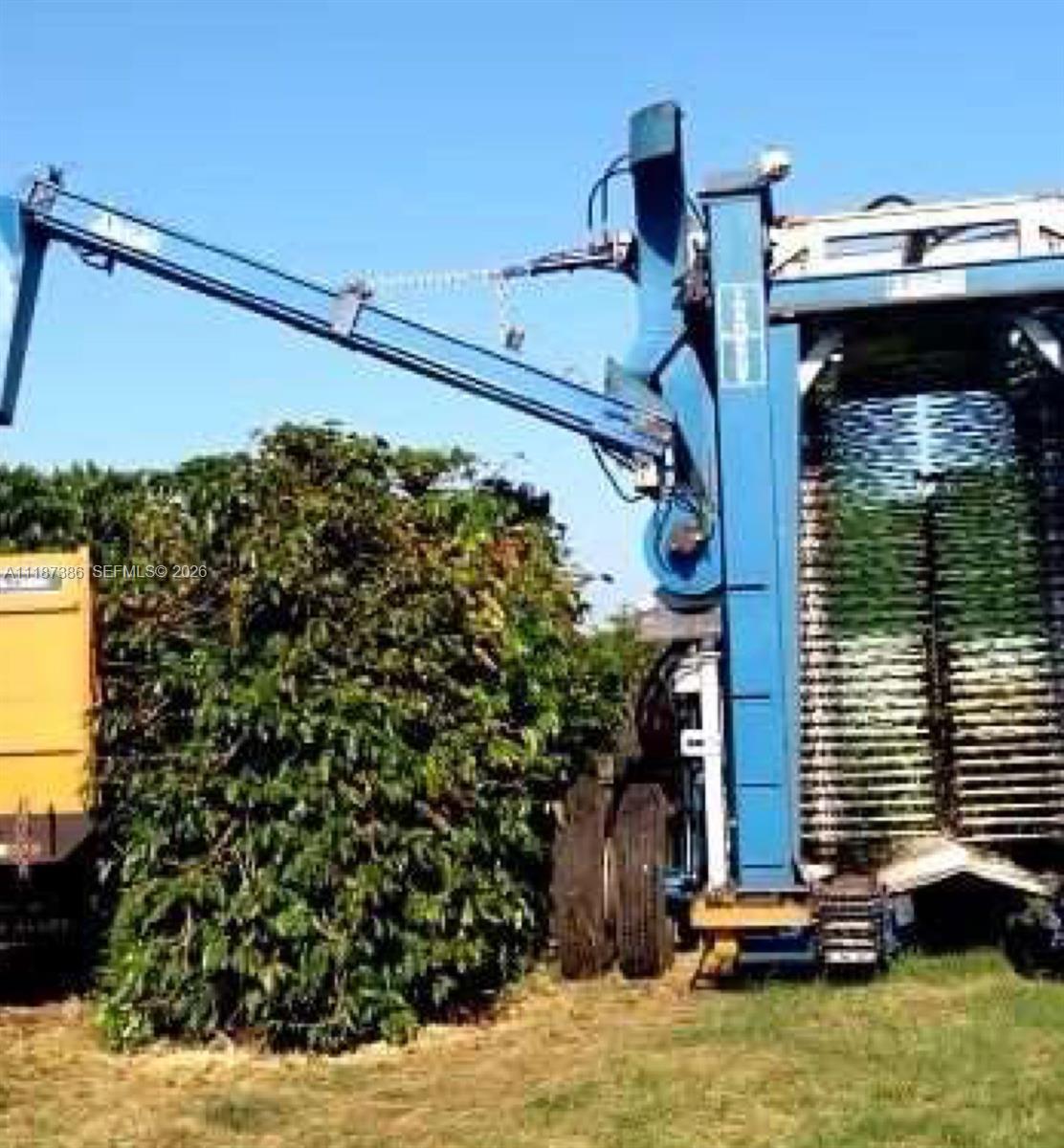 Dorado, Sao Paulo - Land