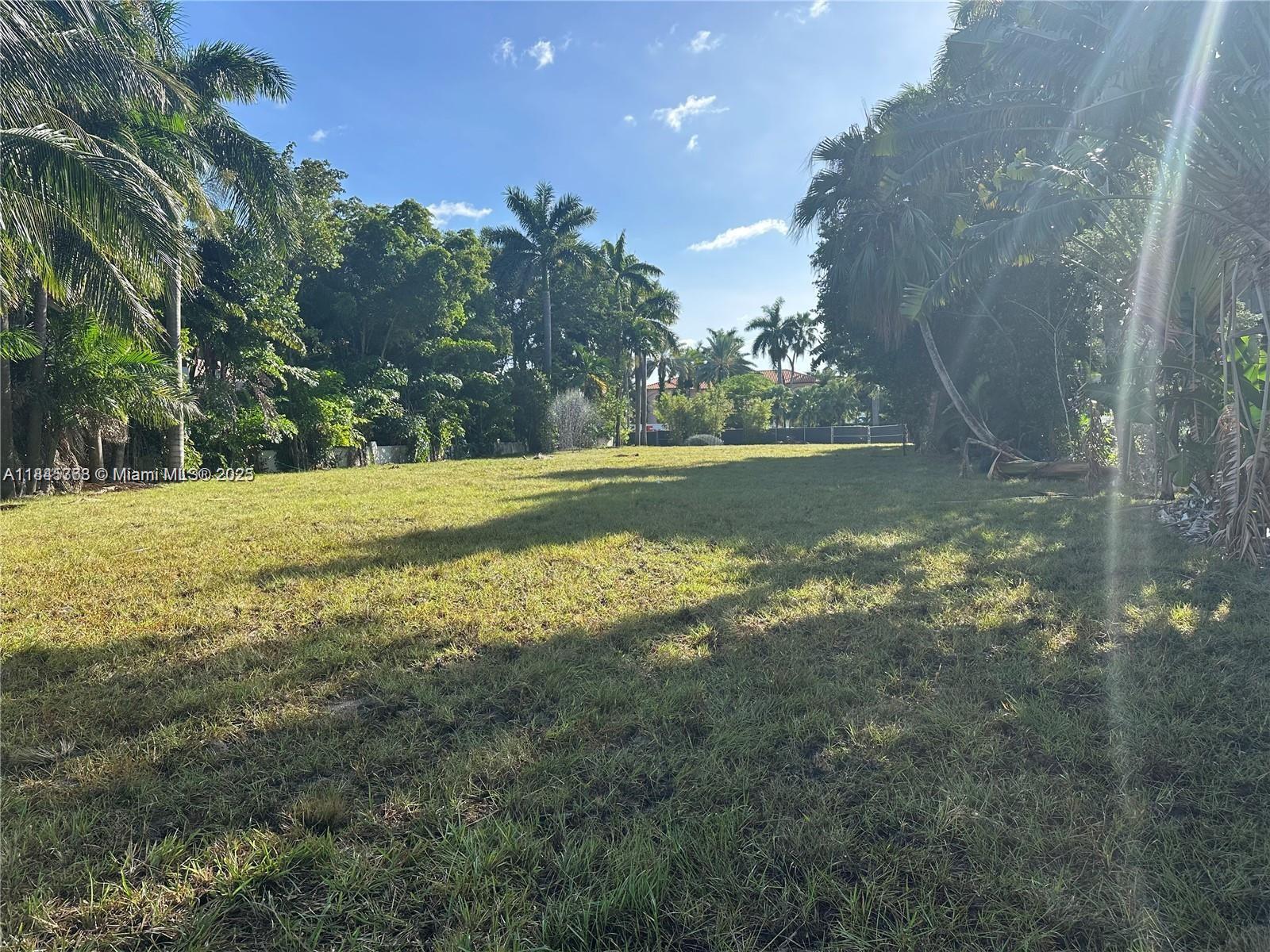 93 Palm Ave
