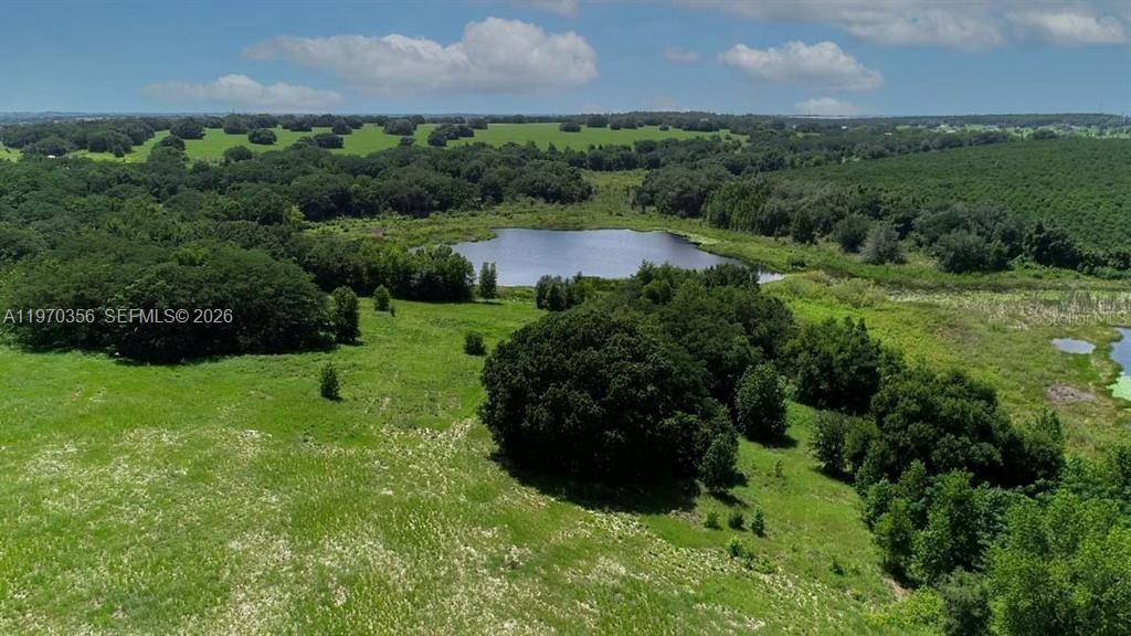 BELLEVUE - Residential