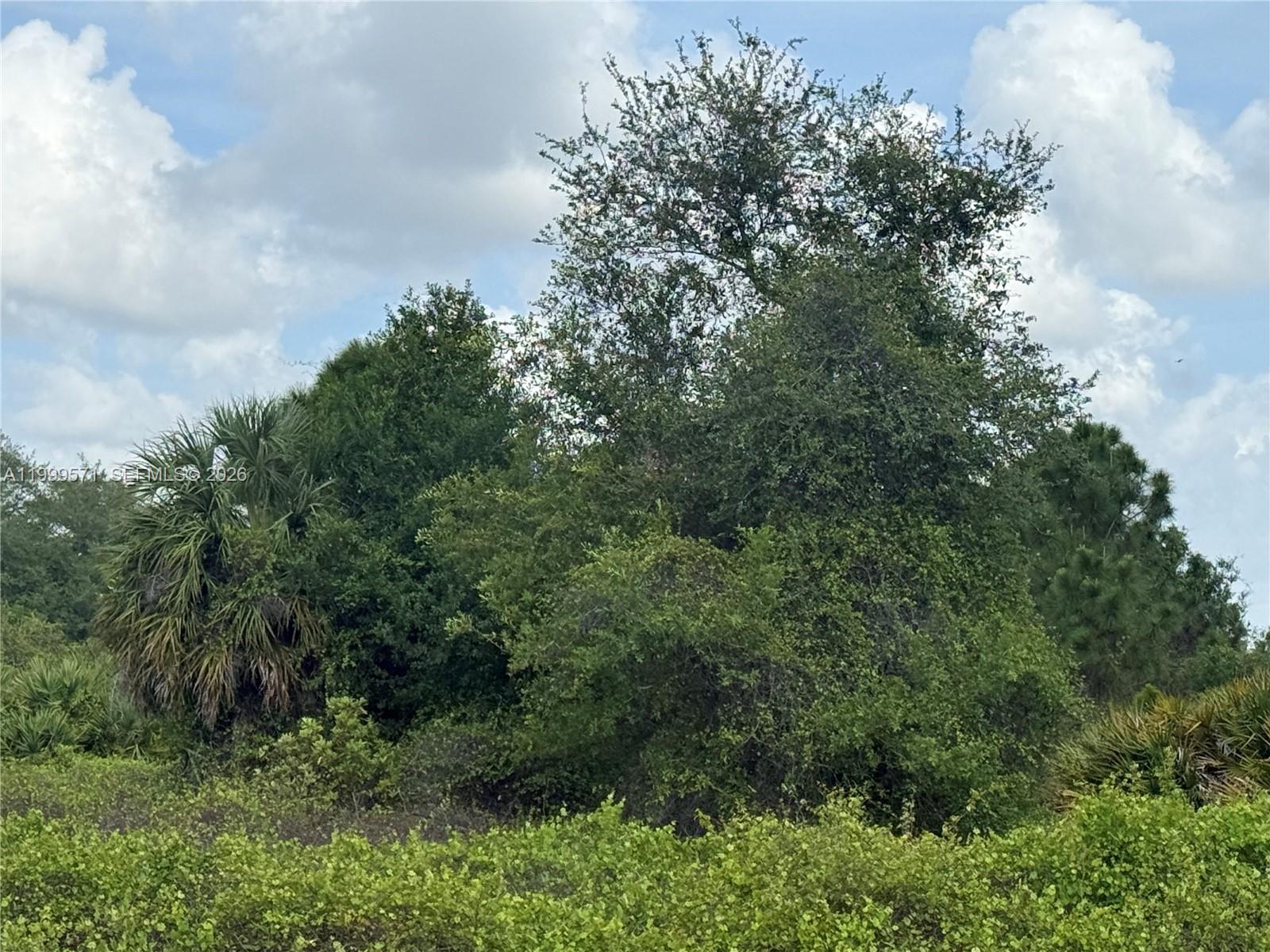 MONTURA RANCH ESTATES - Land