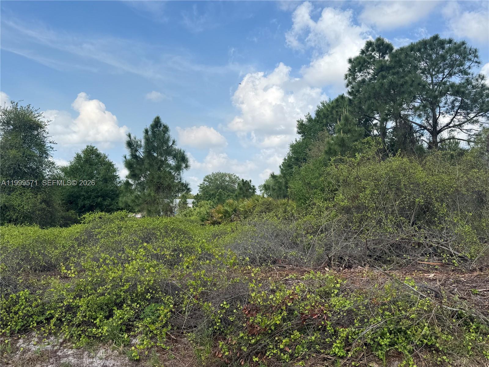 MONTURA RANCH ESTATES - Land