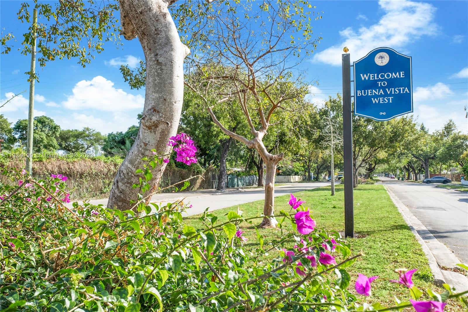 BUENA VISTA HEIGHTS EXTEN - Residential