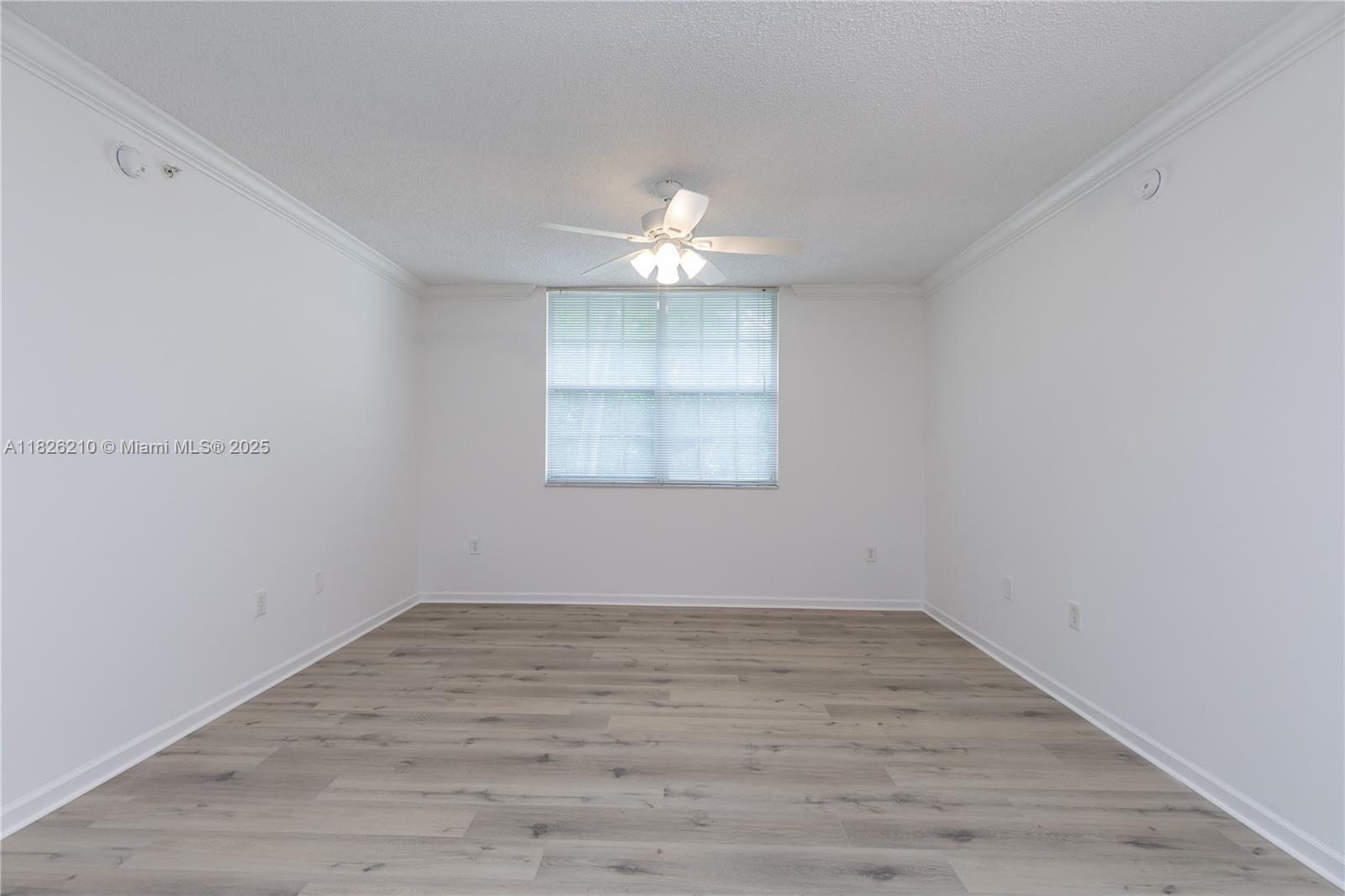 1919 Van Buren St 205A