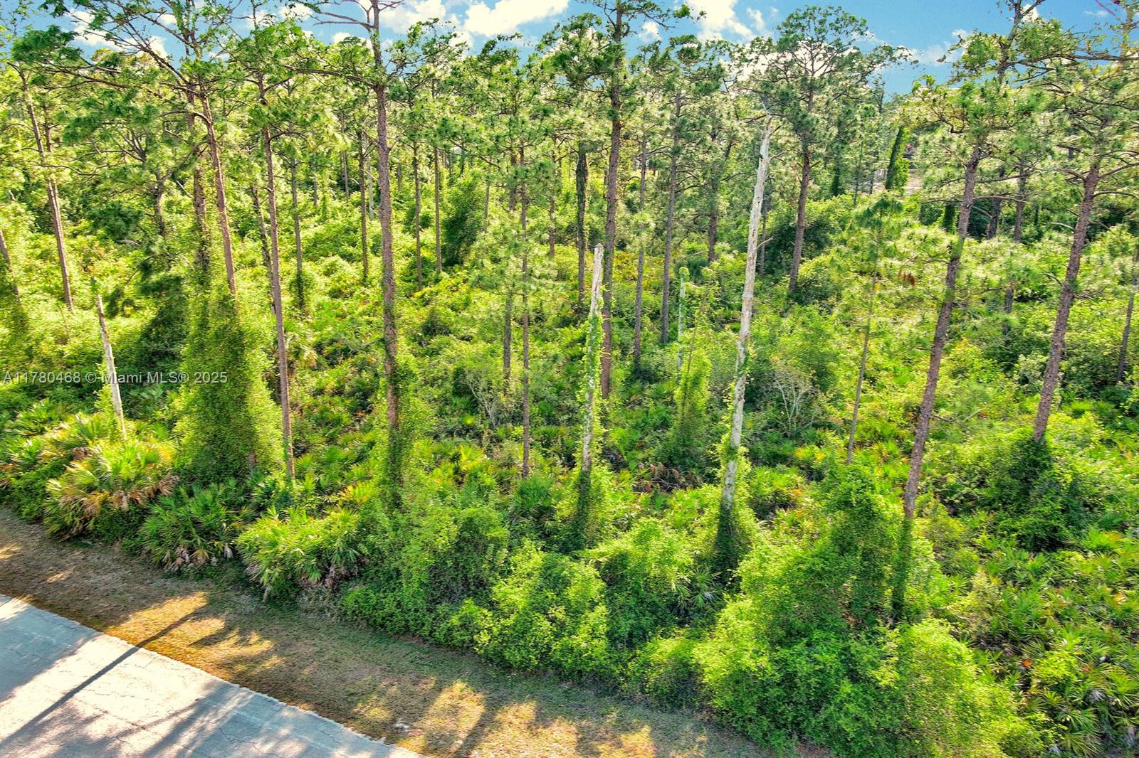 Exclusively Presented by Sunland Real Estate: Discover a fantastic opportunity in the growing community of Alva! This 1/2 acre lot located near Joel Blvd and 21st St E is ready for that dream home to be built to your specifications. This spacious lot offers plenty of room to build your dream home with extra space for privacy or future expansion. Enjoy the peace of a rural setting while close to shopping, dining, local schools, grocery stores, parks, entertainment, and SR-80 for easy access to Fort Myers and beyond. Quiet neighborhood great for bike riding or exercising with the family.