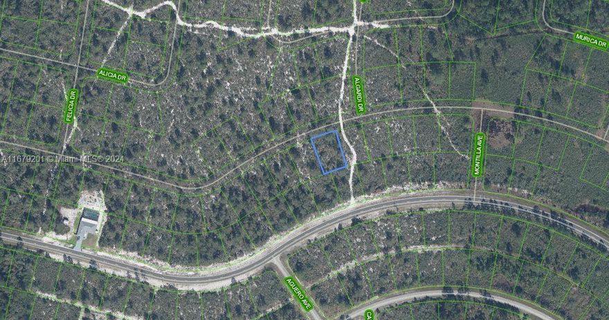 OWNER WILL FINANCE!!! 1K DOWN 367.44 A MONTH FOR 36 MONTHS AT 7% INTREST. LOT NEXT DOOR IS AVAILBLE TOO BOTH FOR 30K. Sun N Lakes community, a perfect place to build your dream home in which to raise your kids or retire. The Sun N Lakes community offers 2 18-Hole championship golf courses, restaurant, clubhouse, gym, playground, community pool, splash pad, community center, fitness center, pickle ball, and tennis. Sebring is centrally located 1.5 hours from Disney, 1.5 hours from Tampa and 1.45 hours from Ana Maria Island Beaches. Located close to Advent health and Sun N Lake Elementary. Huge double lot that can be divided to build two homesites. Lots are going quickly!