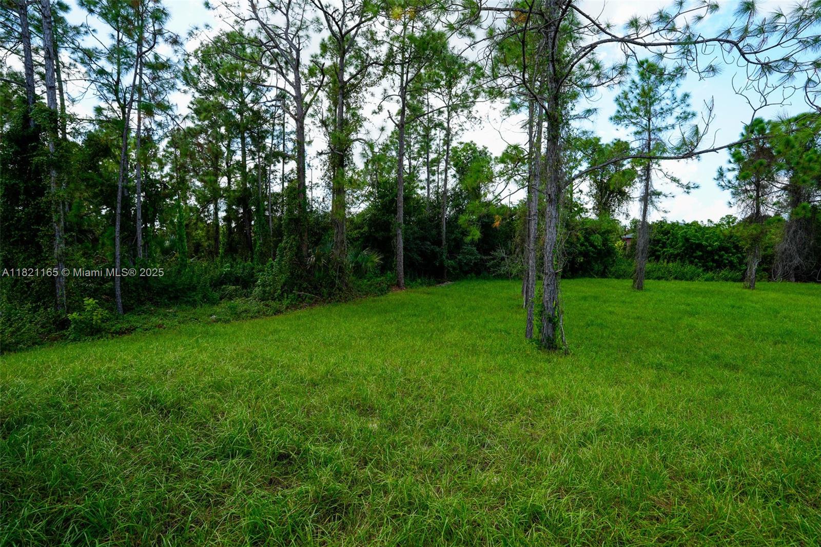 Lee County Unincorporated - Residential