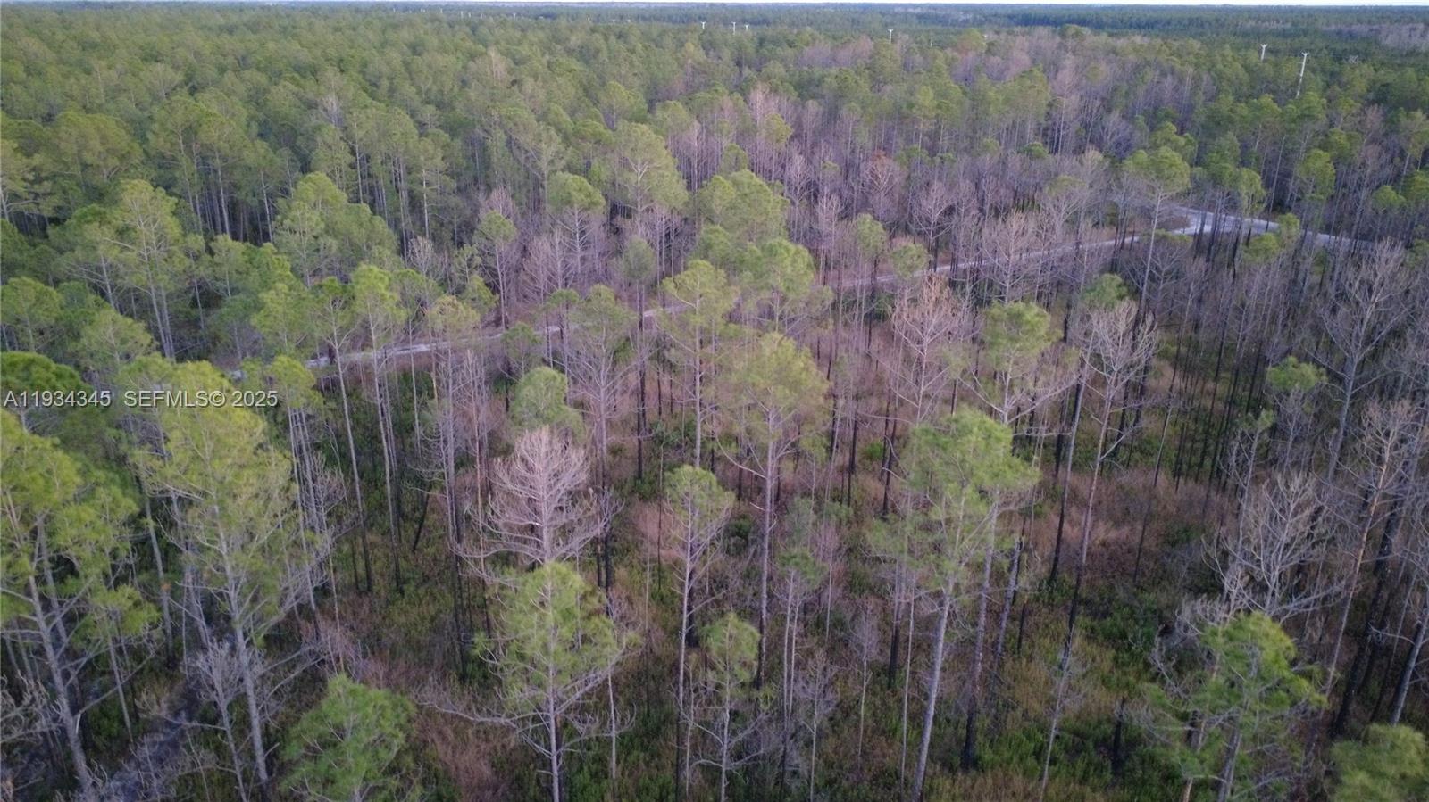 FLAGLER ESTATES UR SUBD - Land