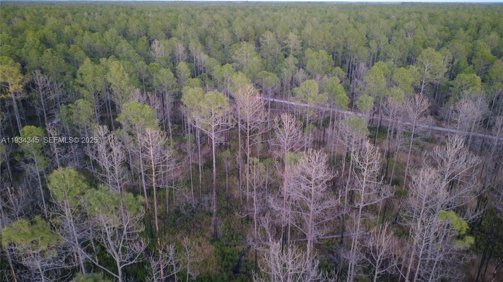 FLAGLER ESTATES UR SUBD - Land