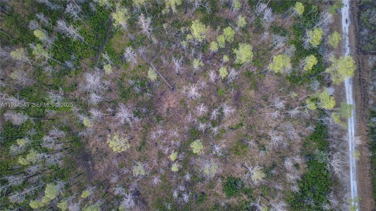 FLAGLER ESTATES UR SUBD - Land