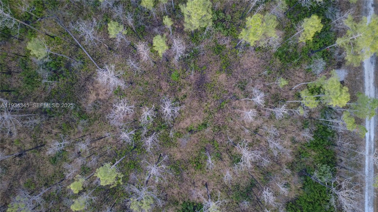 FLAGLER ESTATES UR SUBD - Land