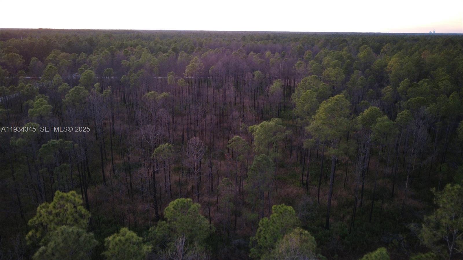 FLAGLER ESTATES UR SUBD - Land