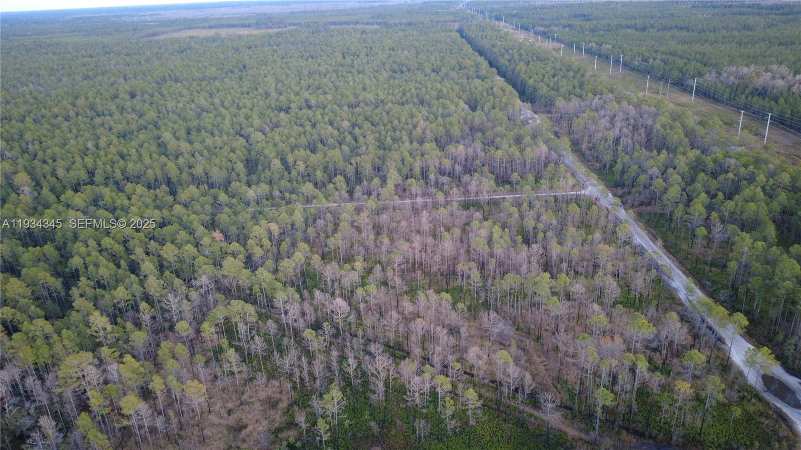 FLAGLER ESTATES UR SUBD - Land