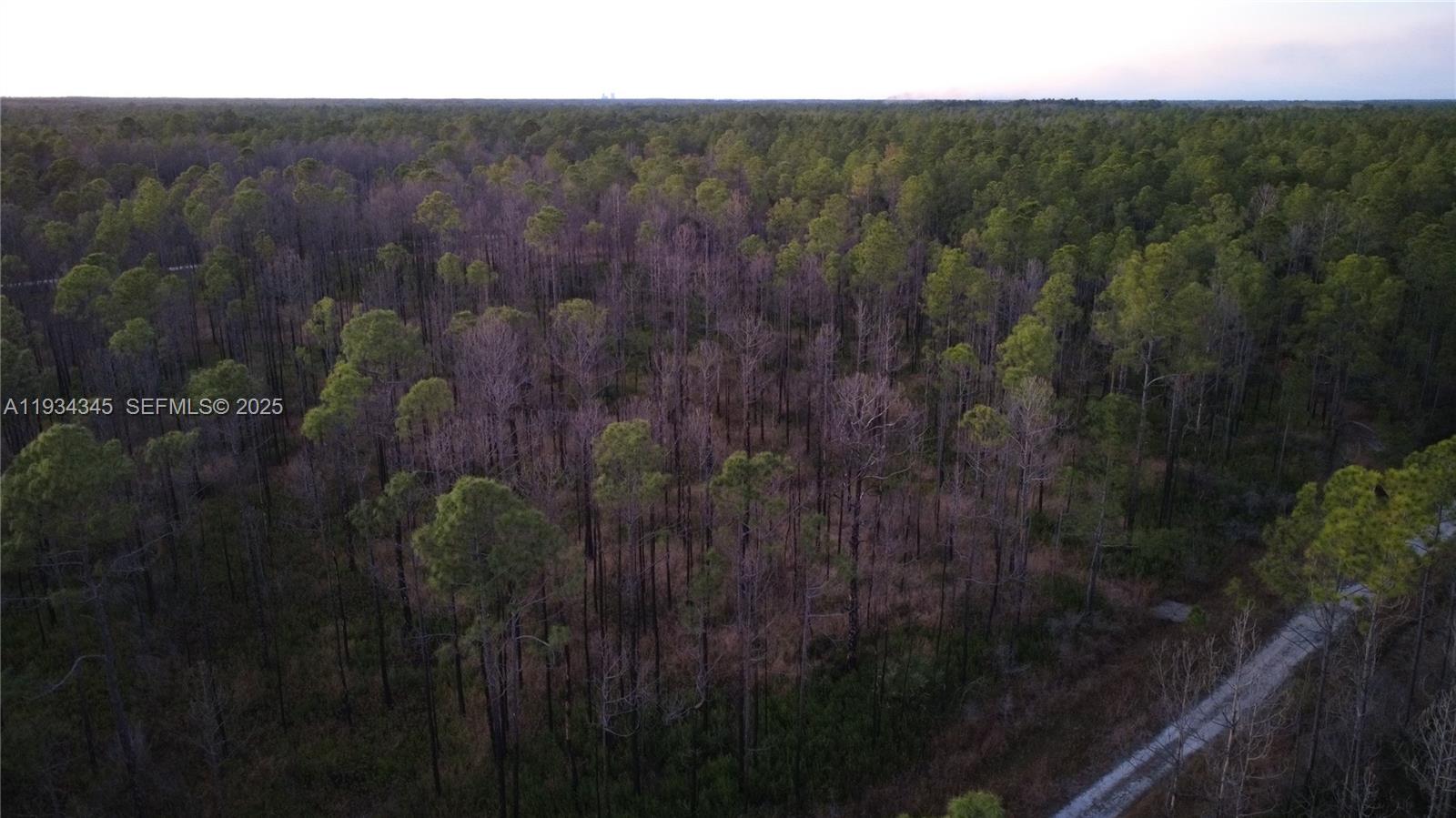 FLAGLER ESTATES UR SUBD - Land