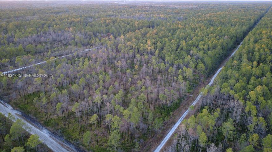 Discover the potential of this spacious 1.25-acre vacant lot on Guzman Ave in Hastings, FL. Perfect for building your custom home, placing a manufactured home, or holding as an investment, this property offers plenty of room for privacy, outdoor activities, or future expansion. Enjoy the peace of country living while still being within reasonable distance to St. Augustine, Palatka, and area conveniences. No HOA—bring your plans and create your own slice of Florida paradise!