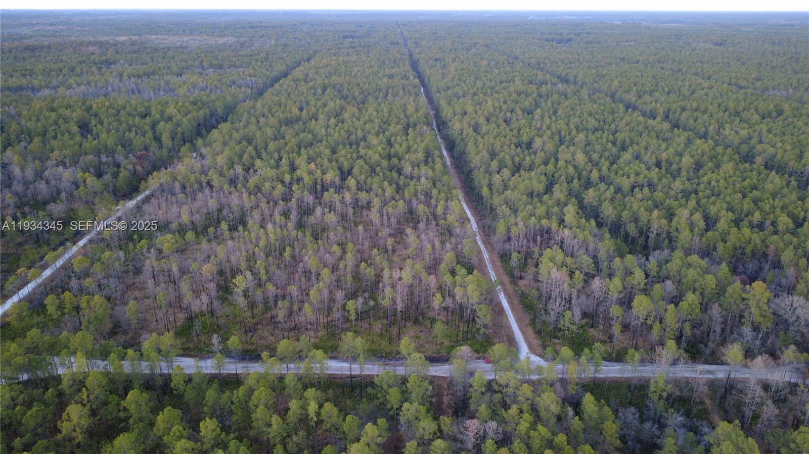 FLAGLER ESTATES UR SUBD - Land