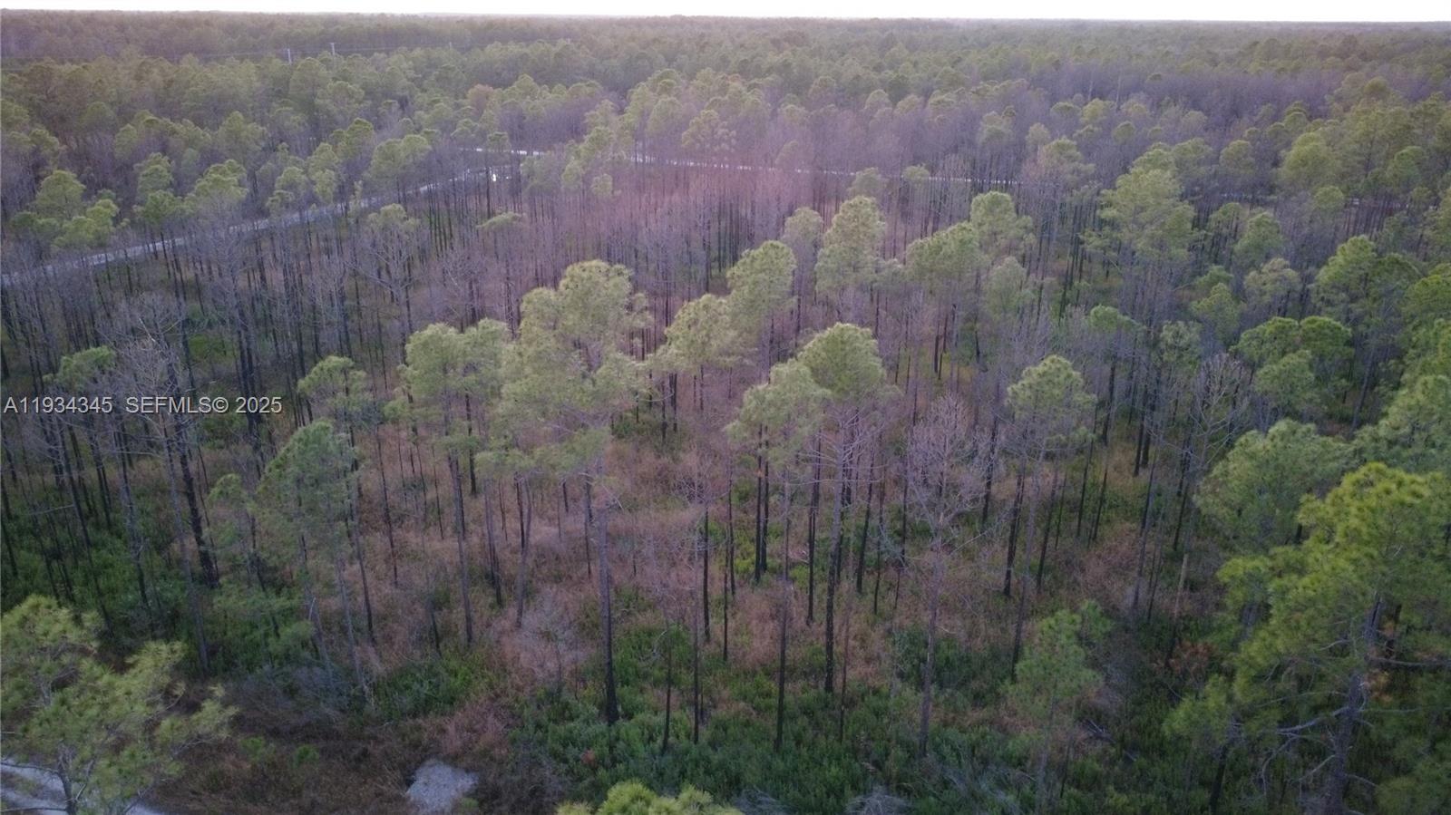 FLAGLER ESTATES UR SUBD - Land