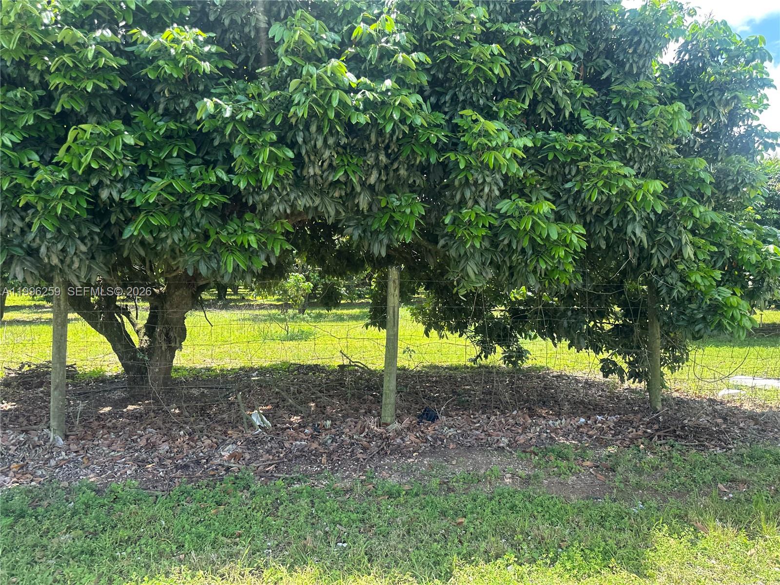 FLORIDA CITY PINES - Land