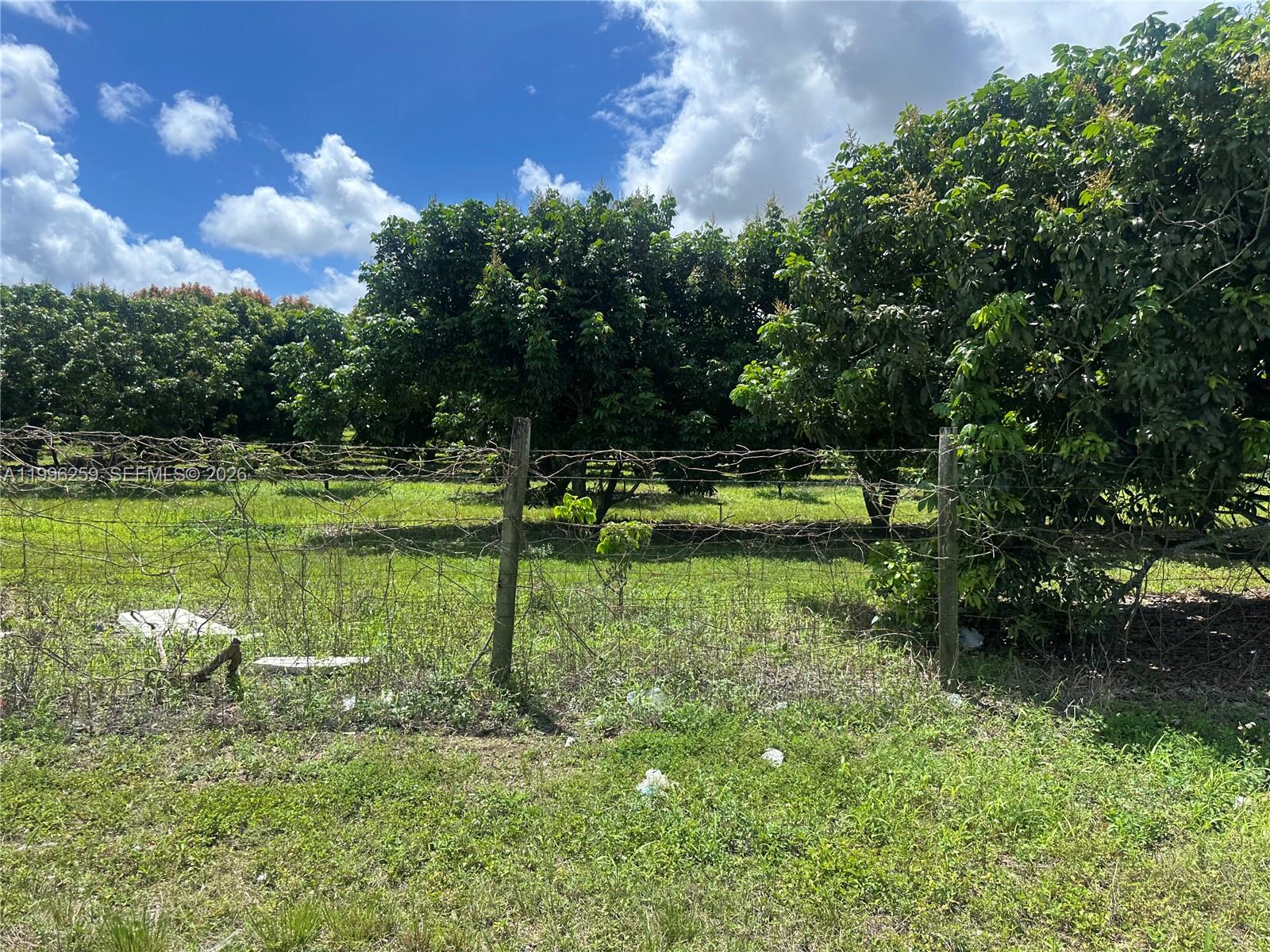 FLORIDA CITY PINES - Land