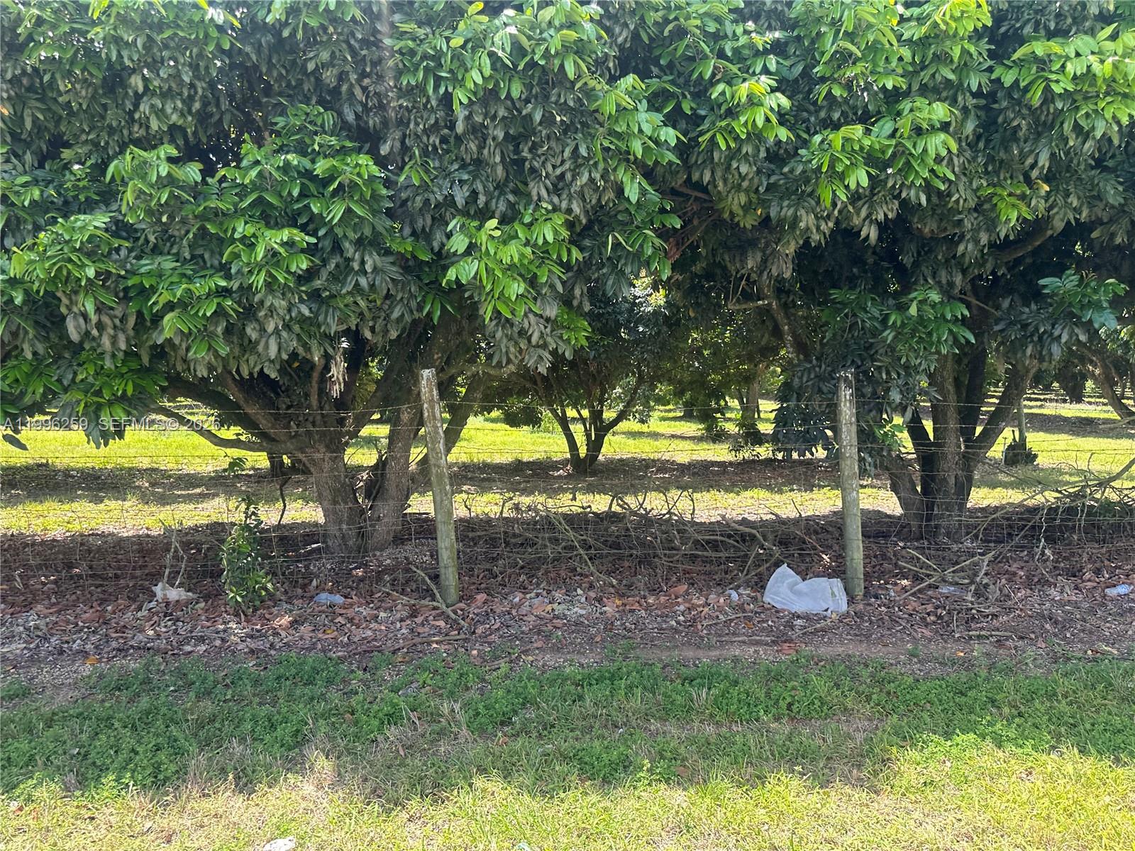 FLORIDA CITY PINES - Land