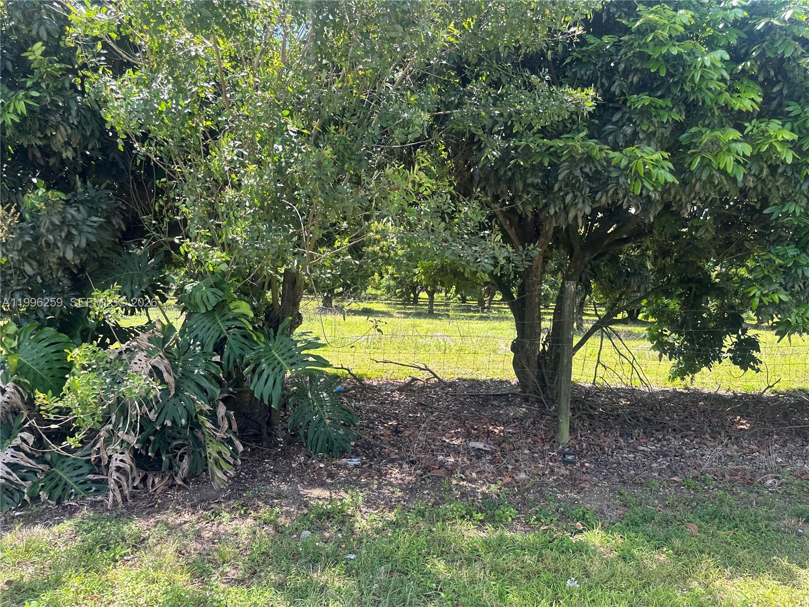 FLORIDA CITY PINES - Land