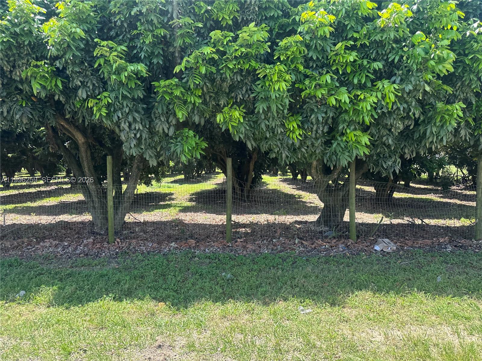 FLORIDA CITY PINES - Land