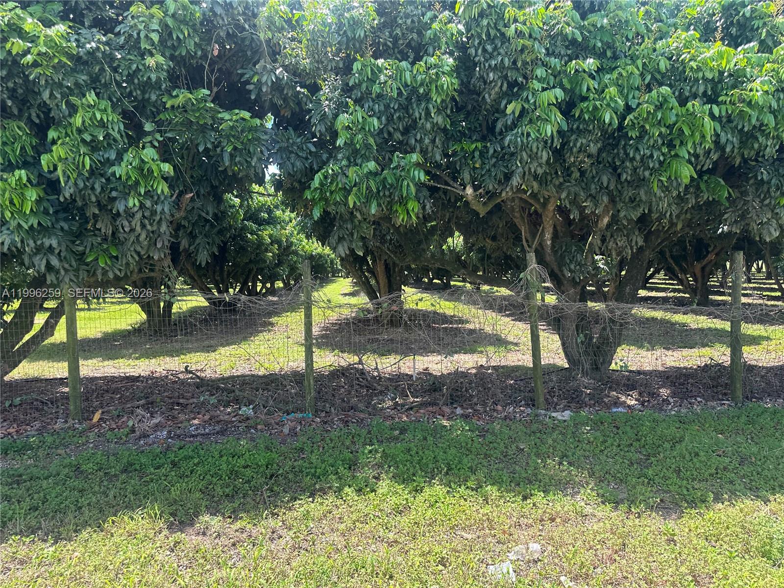 FLORIDA CITY PINES - Land