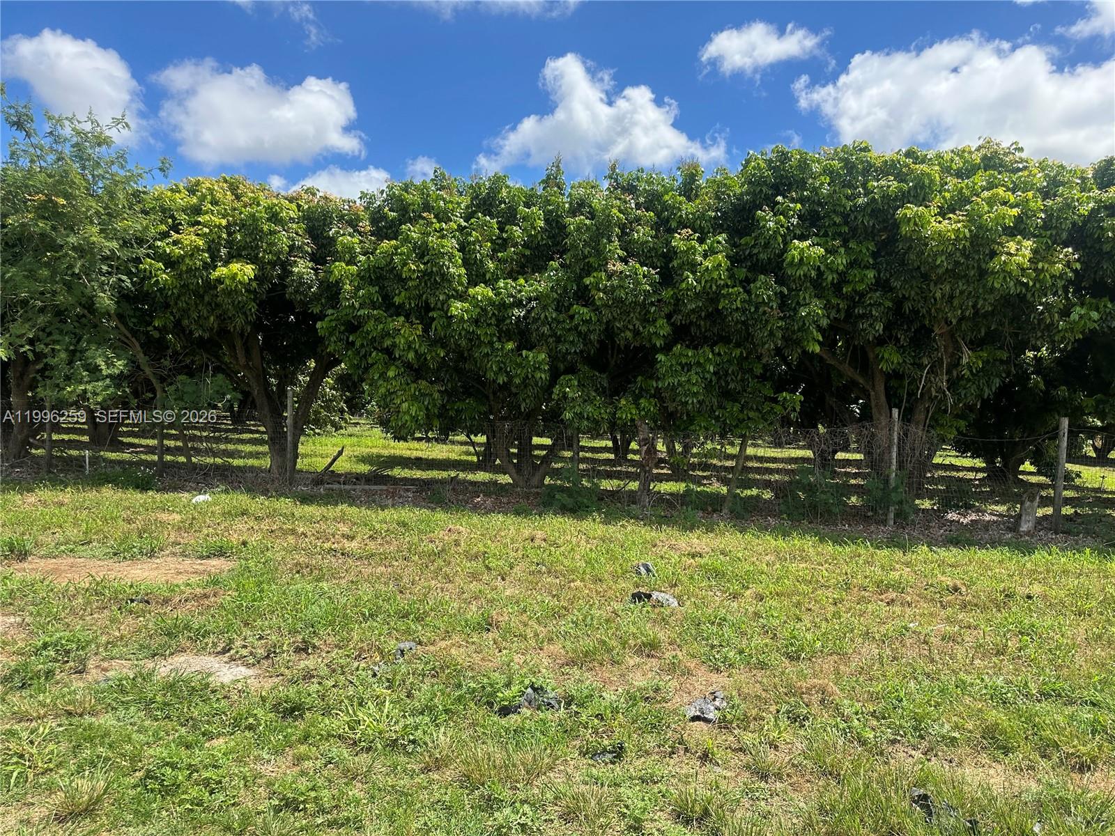 FLORIDA CITY PINES - Land