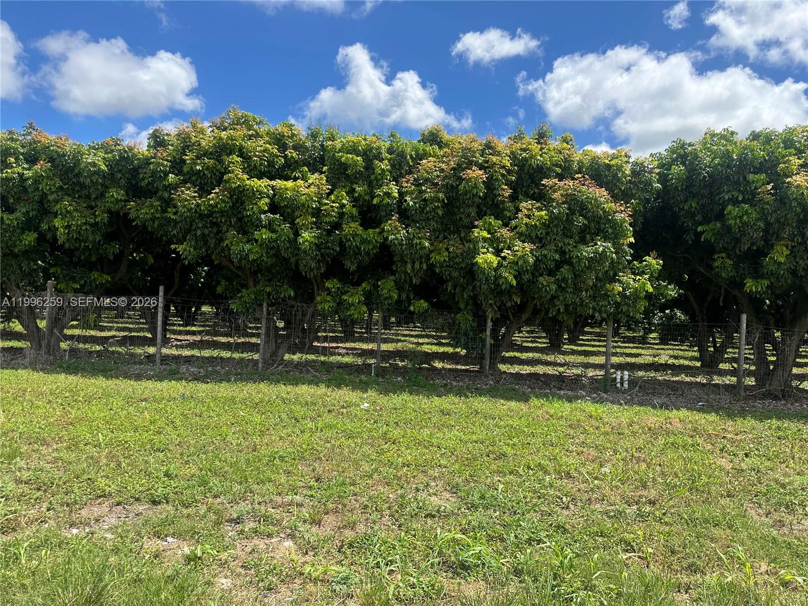 FLORIDA CITY PINES - Land