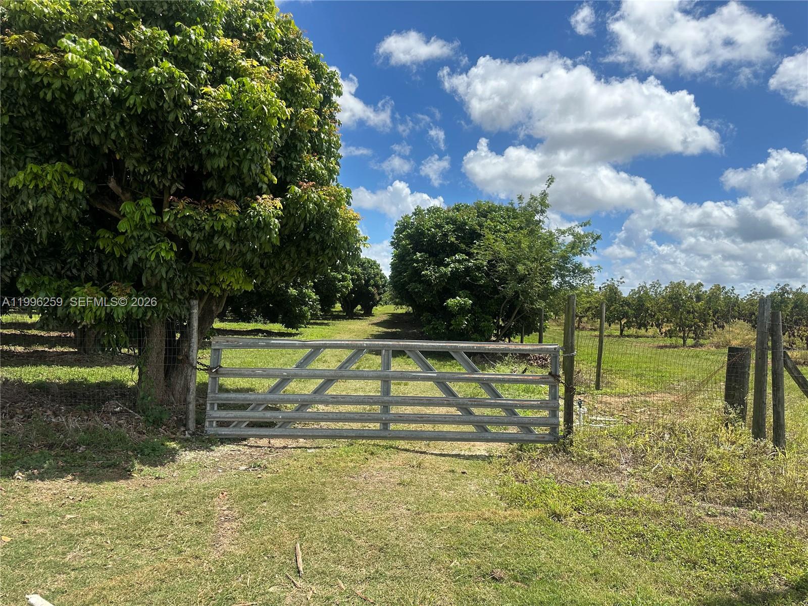 FLORIDA CITY PINES - Land