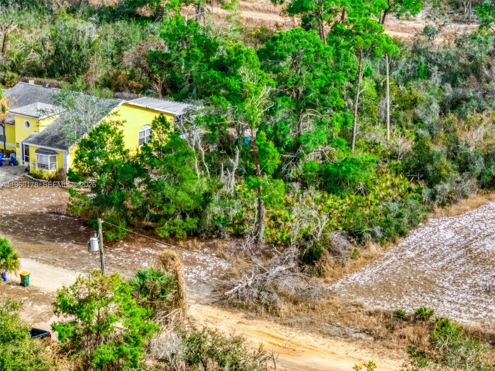 Avon Park Lakes - Land