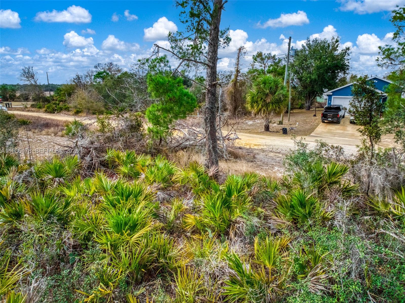 Avon Park Lakes - Land