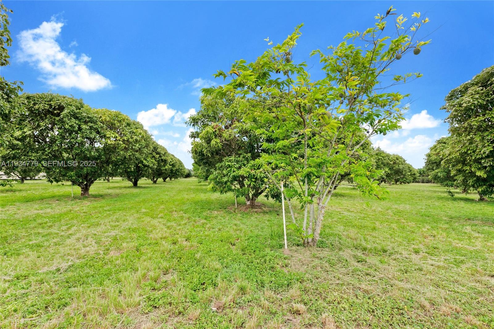 206 SW Street Between 137 Ave & 139 Ave