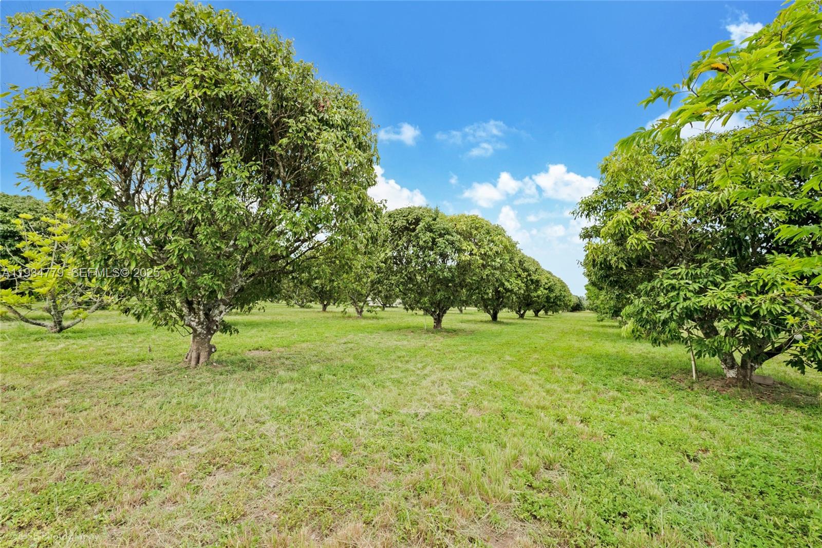 206 SW Street Between 137 Ave & 139 Ave