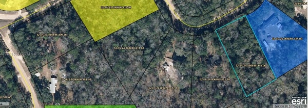 5011 LICORICE CT, MIDDLEBURG, FL 32068 - Image 2a4e62f613de5ce3eb836519d6e26d8a/844675173
