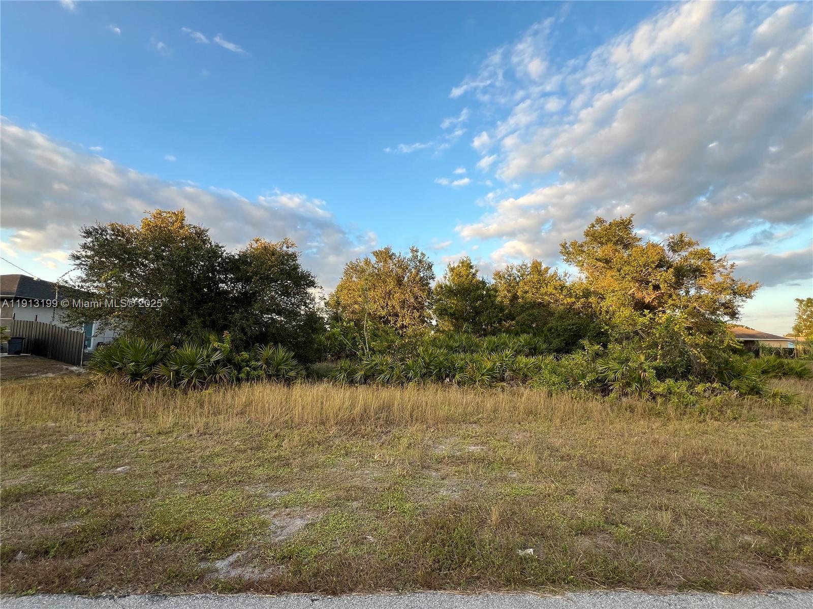 Lehigh Acres Unit 1 - Land