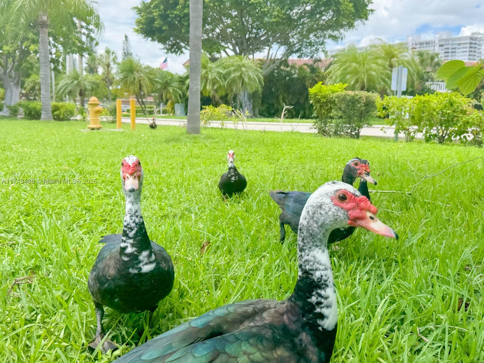 Point East One Condo-Bldg - Residential