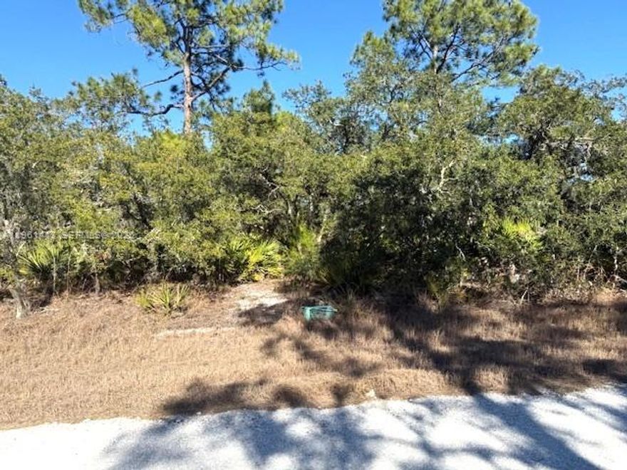 Residential Lot For Sale – 3221 N Dahlia Dr, Lake Placid, FL 33852
.23 acres of buildable residential land, Electricity available nearby for easy utility connection, Homes already built in the area, increasing long-term value, High and dry location with excellent future development potential, No HOA, Minutes from Lake Istokpoga, local parks, shopping, and dining. Easy access to US-27 for commuting to Sebring, Avon Park, or beyond.
Why This Lot Stands Out - Whether you're a builder looking for your next project, an investor seeking a low-maintenance land asset, or a homeowner ready to create a custom residence, this parcel checks all the boxes. The presence of nearby development makes this a smart, secure choice in one of Highlands County’s most desirable and affordable markets.
Your Florida Lifestyle Awaits - Enjoy boating, fishing, and the laid-back charm of Lake Placid known as the “Town of Murals” and home to dozens of freshwater lakes. This lot offers the space, flexibility, and location to bring your vision to life.