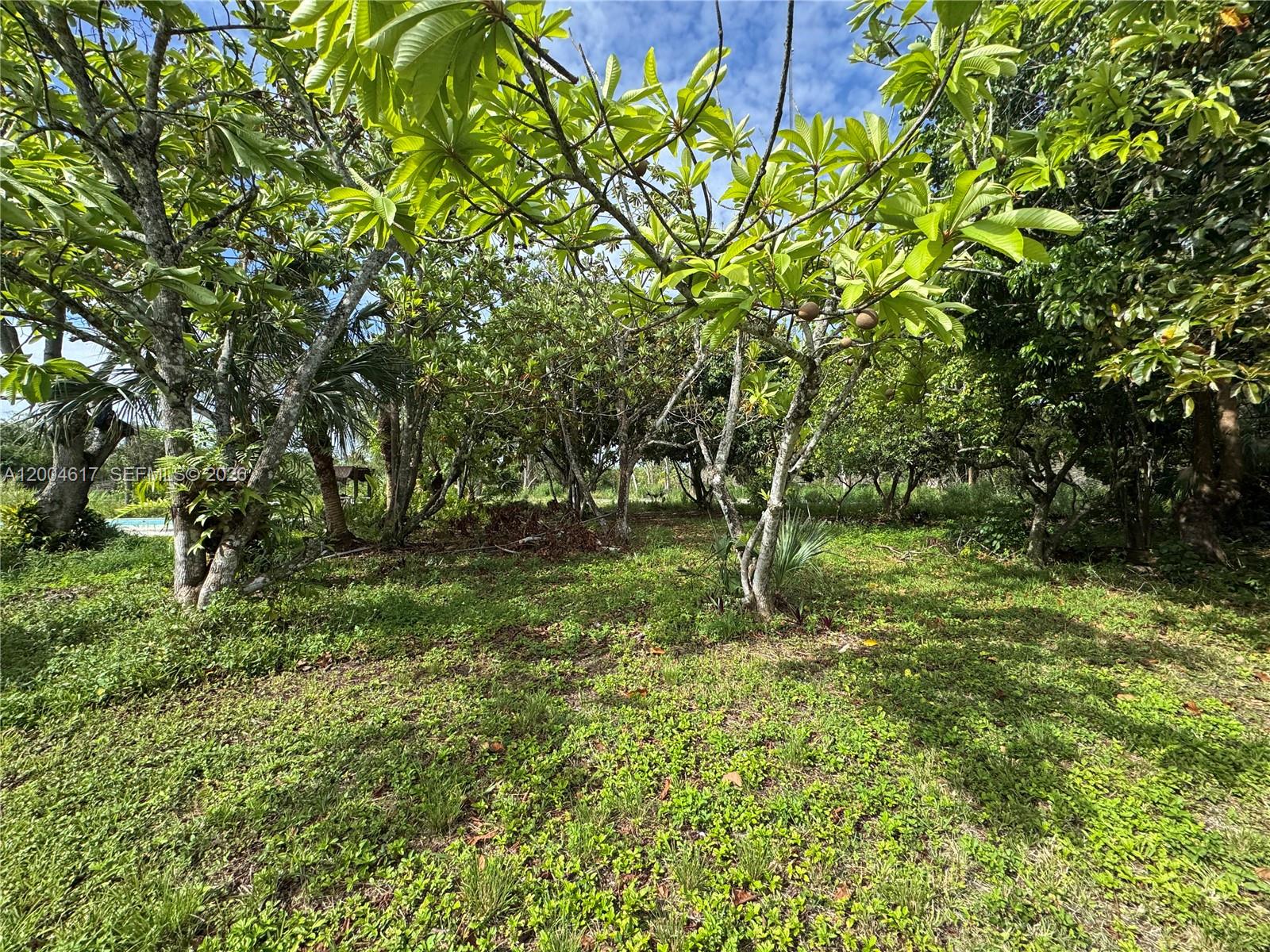 REDLAND - Residential