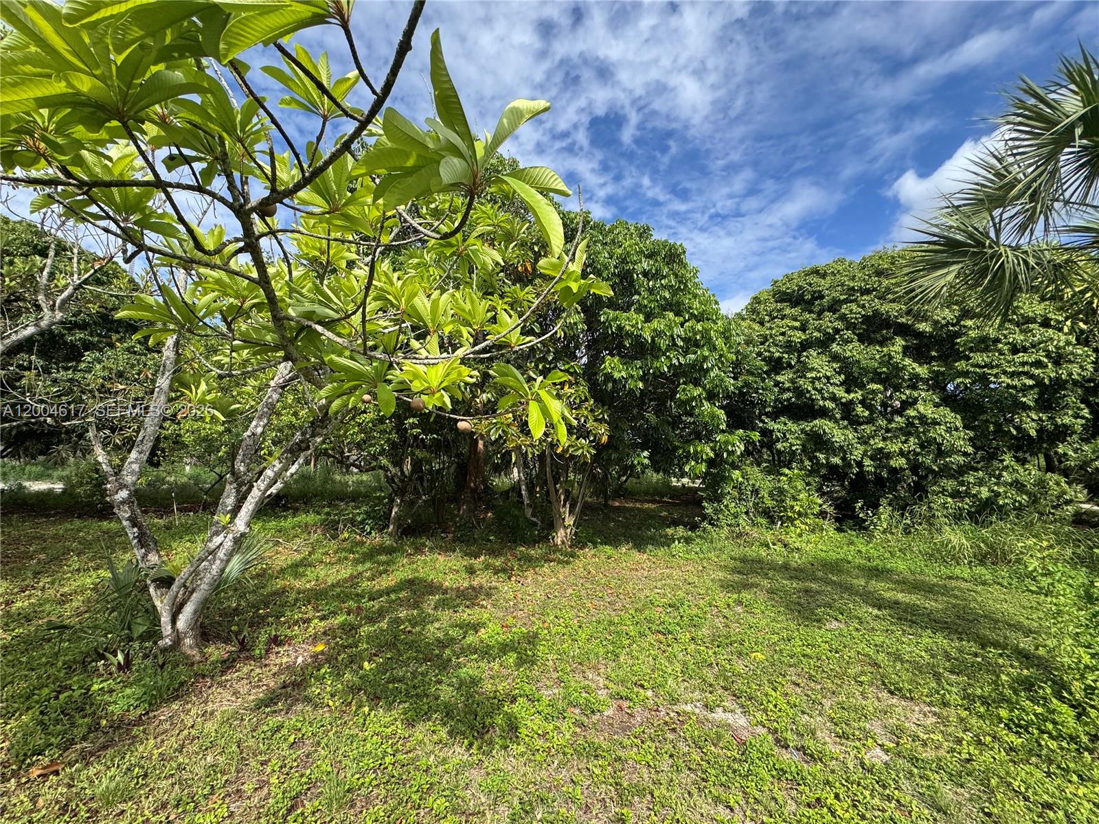 REDLAND - Residential