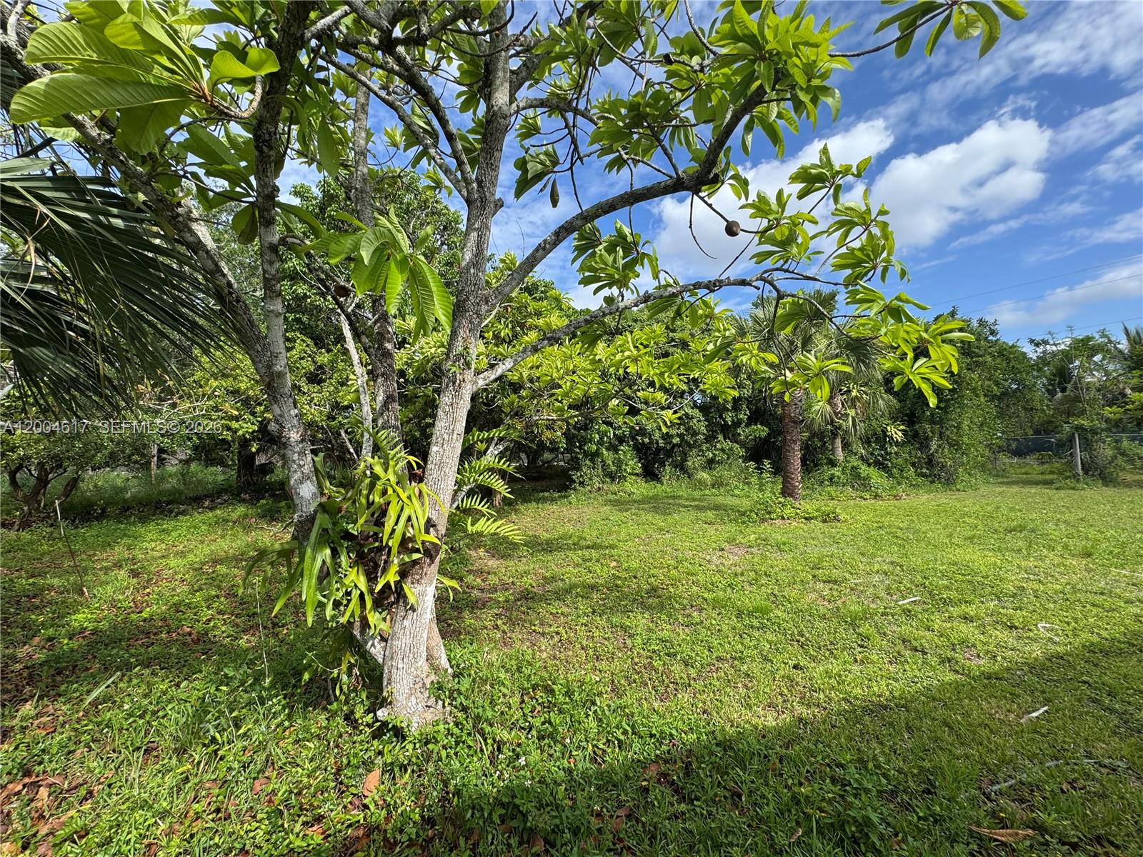 REDLAND - Residential